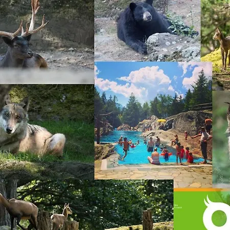 Alpehytte Le Passage