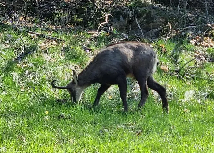 Alpstuga Le Passage *